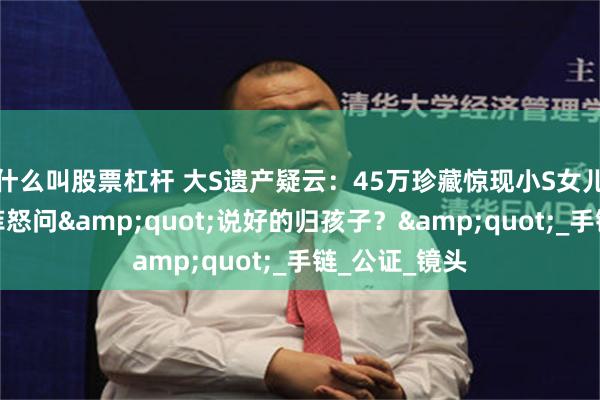 什么叫股票杠杆 大S遗产疑云：45万珍藏惊现小S女儿身上，汪小菲怒问&quot;说好的归孩子？&quot;_手链_公证_镜头