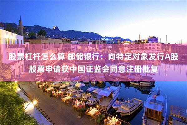 股票杠杆怎么算 邮储银行：向特定对象发行A股股票申请获中国证监会同意注册批复