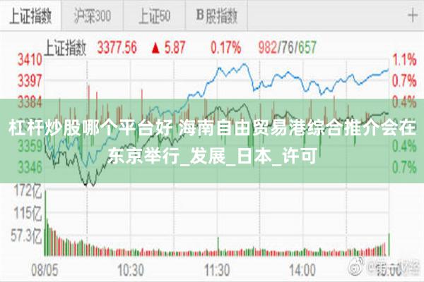 杠杆炒股哪个平台好 海南自由贸易港综合推介会在东京举行_发展_日本_许可