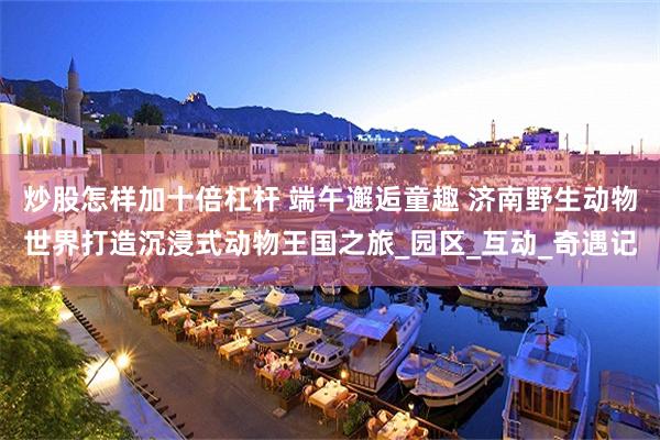炒股怎样加十倍杠杆 端午邂逅童趣 济南野生动物世界打造沉浸式动物王国之旅_园区_互动_奇遇记