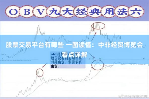 股票交易平台有哪些 一图读懂：中非经贸博览会看点详解