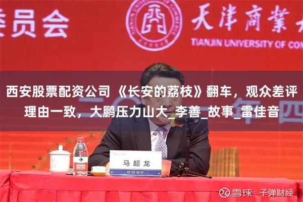 西安股票配资公司 《长安的荔枝》翻车，观众差评理由一致，大鹏压力山大_李善_故事_雷佳音