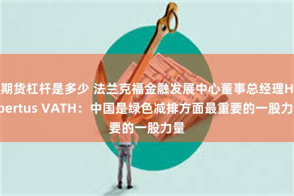 期货杠杆是多少 法兰克福金融发展中心董事总经理Hubertus VATH：中国是绿色减排方面最重要的一股力量