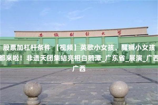 股票加杠杆条件 【视频】英歌小女孩、醒狮小女孩都来啦！非遗天团集结亮相白鹅潭_广东省_展演_广西