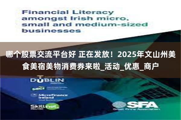 哪个股票交流平台好 正在发放！2025年文山州美食美宿美物消费券来啦_活动_优惠_商户