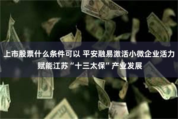 上市股票什么条件可以 平安融易激活小微企业活力 赋能江苏“十三太保”产业发展