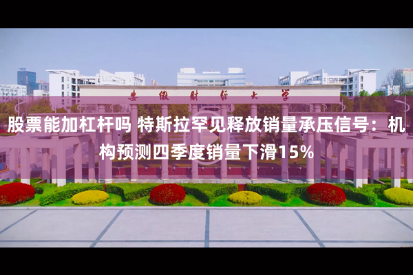 股票能加杠杆吗 特斯拉罕见释放销量承压信号：机构预测四季度销量下滑15%